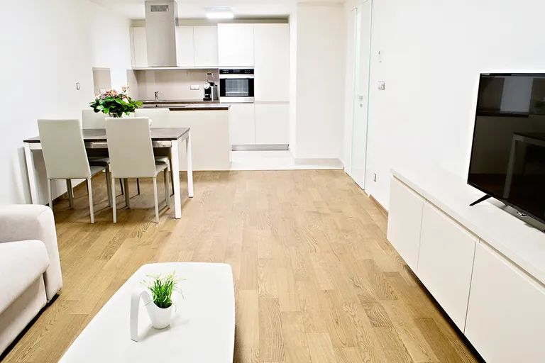 One bedroom apartment