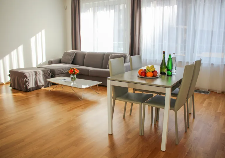 One bedroom apartment